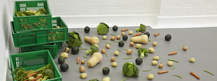 Nina Beier, Scheme, 2014. Online organic vegetable box scheme, delivered to the gallery at scheduled intervals. Image courtesy of the artist and Croy Nielsen, Berlin.