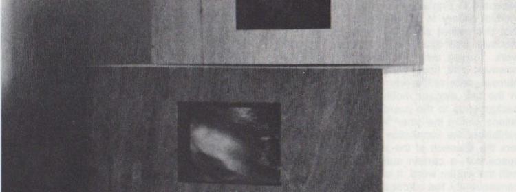 Shigeko Kubota, Duchampiana: Nude Descending a Staircase, 1976. Video installation. 