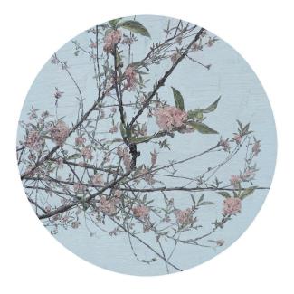 Peach blossom, 2013. 90 x 90cm. Courtesy the artist and AroundSpace Gallery, Shanghai.