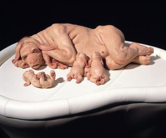 Patricia Piccinini, The Young Family, 2002. Silicone, fibreglass, leather, human hair, plywood, 85cm high x 150cm long x 120cm wide approx. Courtesy of the artist, and Tolarno Galleries, Melbourne, Roslyn Oxley9 Gallery, Sydney and Haunch of Venison, London.