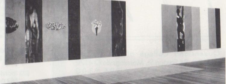 John Young, Installation view, The Floating World and Charred Head Silhouette Painting, 1988. Courtesy Yuill/Crowley, Sydney. 