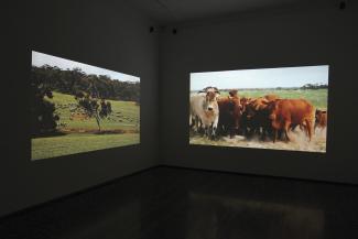 Sonia Leber and David Chesworth, The Way You Move Me, 2011. Video still, two-channel video, 5:1 channel audio, 10:30 min. Courtesy the artists and Fehily Contemporary, Melbourne.
