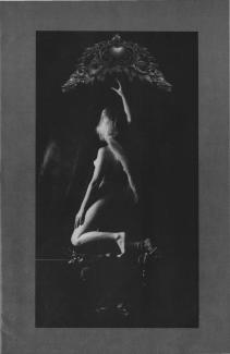 Altar-piece I - In Search of the Myth, 1987. Gelatin silver print, 174.5 x 99.5cm. 