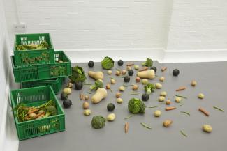 Nina Beier, Scheme, 2014. Online organic vegetable box scheme, delivered to the gallery at scheduled intervals. Image courtesy of the artist and Croy Nielsen, Berlin.