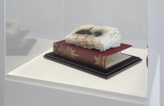 The Children’s Encyclopedia Vol 6, 2017. Installation view, TarraWarra International 2017: All that is solid …, 2017. Cremated book ashes and book covers, 21 x 21 x 29cm. Photograph Christian Capurro