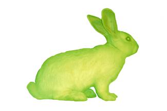 Eduardo Kac, GFP Bunny, 2000. Transgenic Artwork. Courtesy Black Box Gallery, Copenhagen.