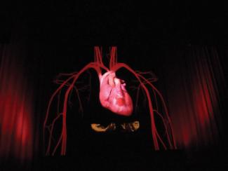 Lisa Roet, Heart, White Night, 2014. Musion projection, sound, video. Courtesy the artist and Karen Woodbury Gallery, Melbourne. 