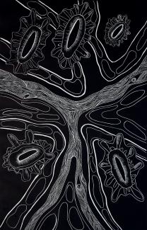 Gail Mabo, Clam shell. Linocut print, 70 x 100cm. Courtesy the artist and Umbrella Studio, Townsville. 